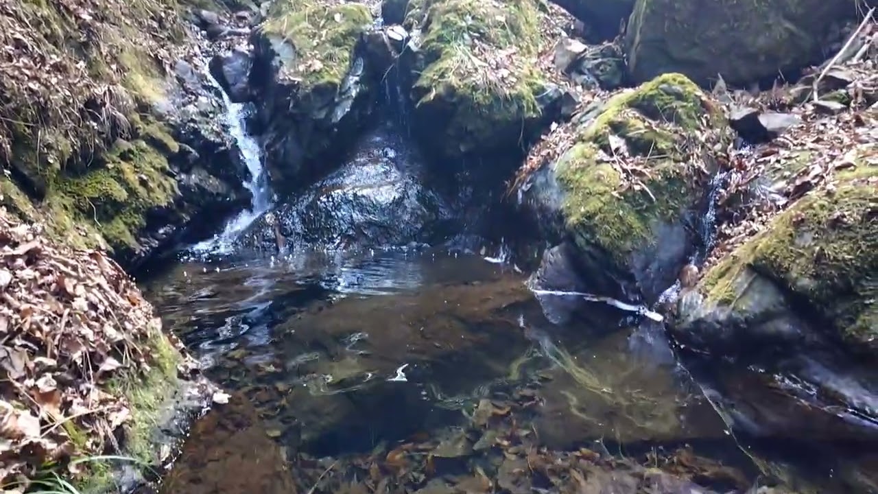 田無神社 滝と渓谷 津久井湖の旅