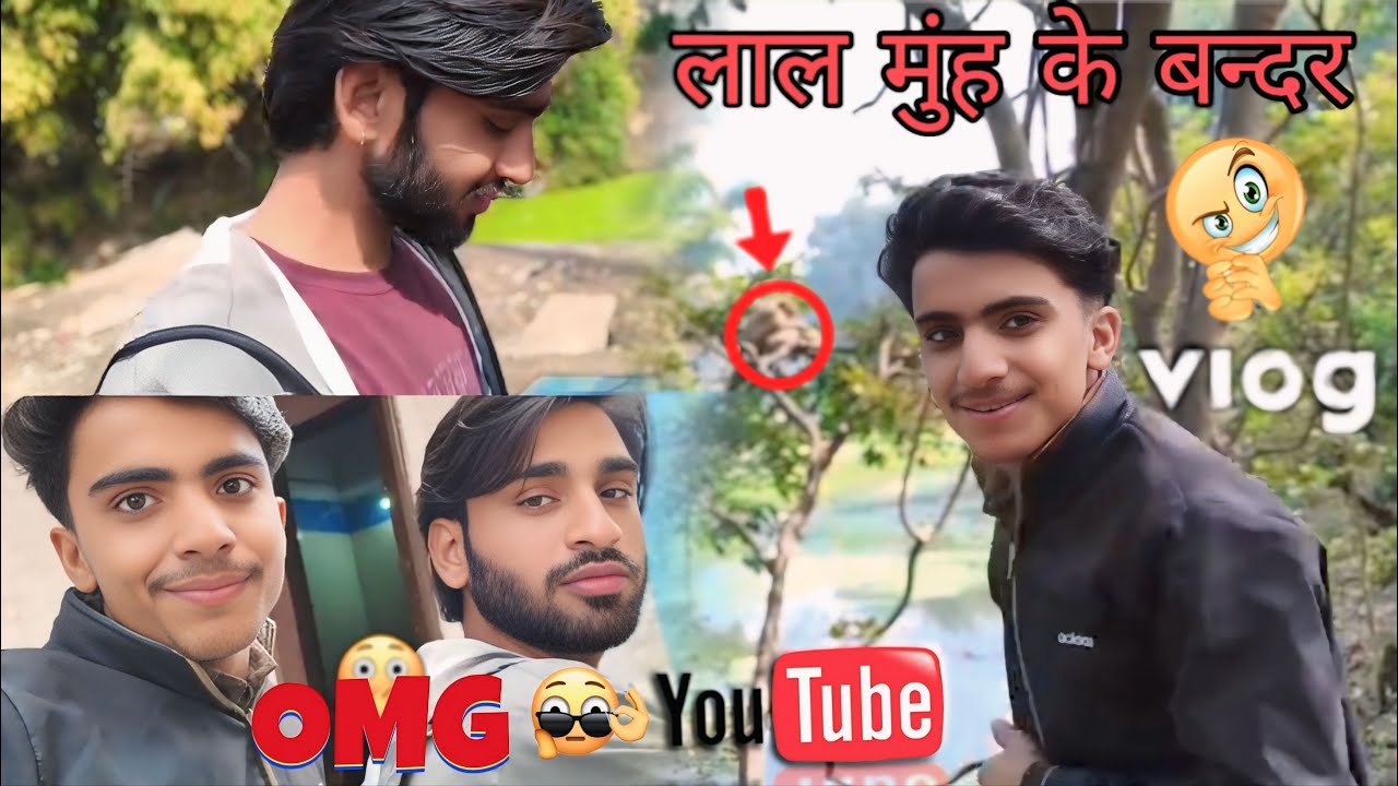 What is the red faced monkey doing ||  लाल मुंह वाला बंदर क्या कर रहा है? 😱 New Vlog #tranding #view