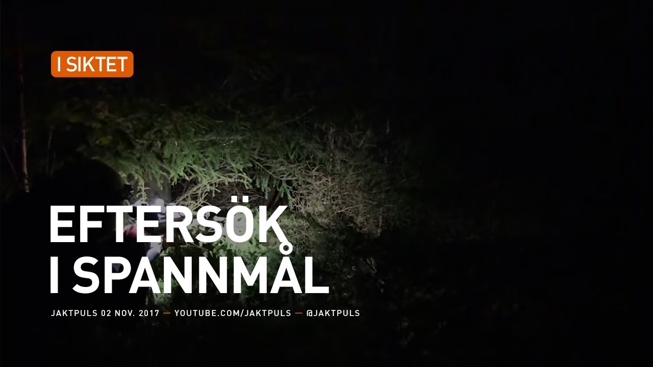 Efters&ouml;k i spannm&aring;l