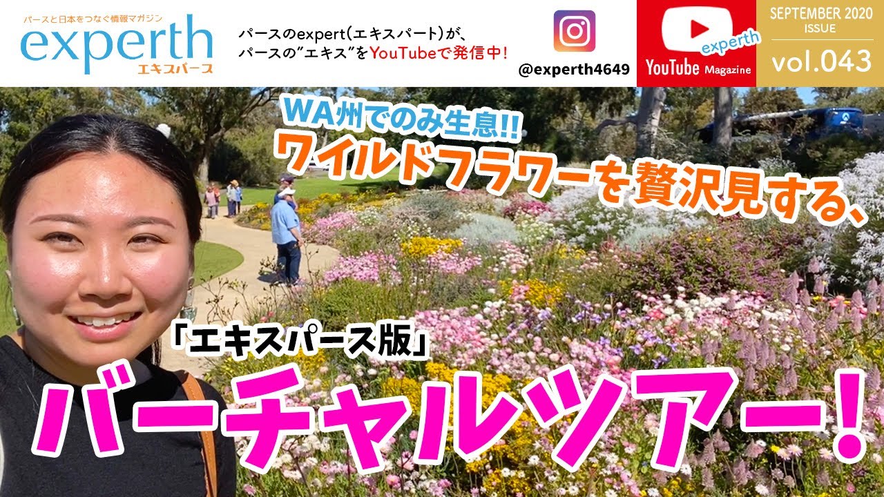 【オーストラリア観光】エキスパース版バーチャルツアー！！季節限定ワイルドフラワーを堪能！