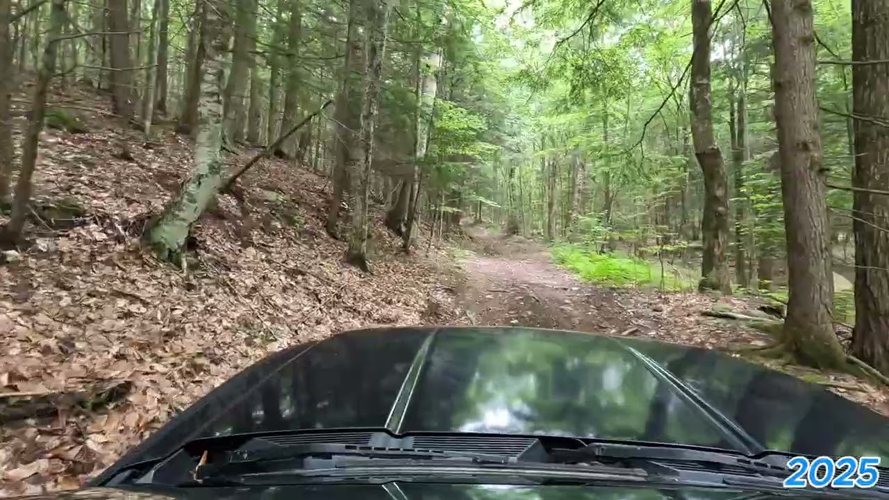 Coach Road ( Hill NH)