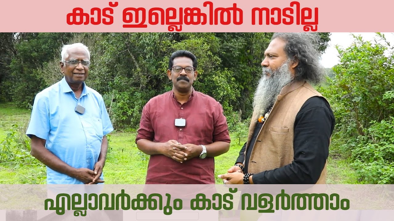 എങ്ങനെ കാടു വളർത്താം/How to Build a Forest/K V DAYAL/മിയാവാക്കി പരാജയമോ#forest#pachila#nature