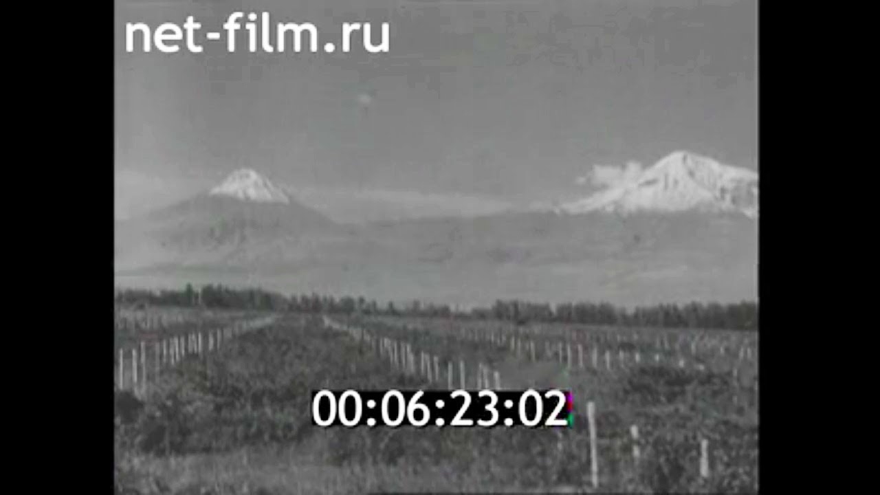 1969г. совхоз Двин. Араратская долина. Армения