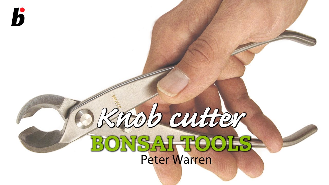 Bonsai Knob Cutter