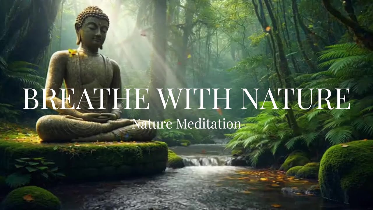 Forest Breathing Meditation | Slow Breathing, Green Forest Calm