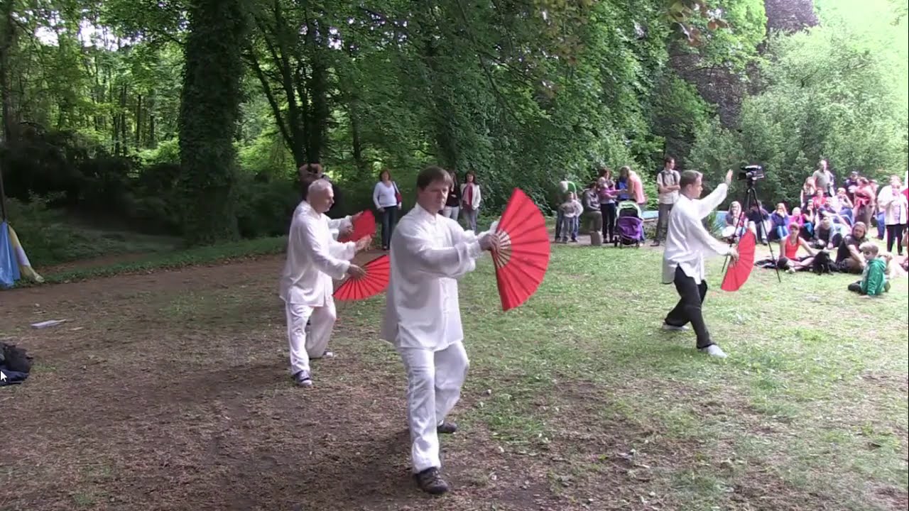 TAJČI S VĚJÍŘEM | Tchaj-ťi kung-fu šan