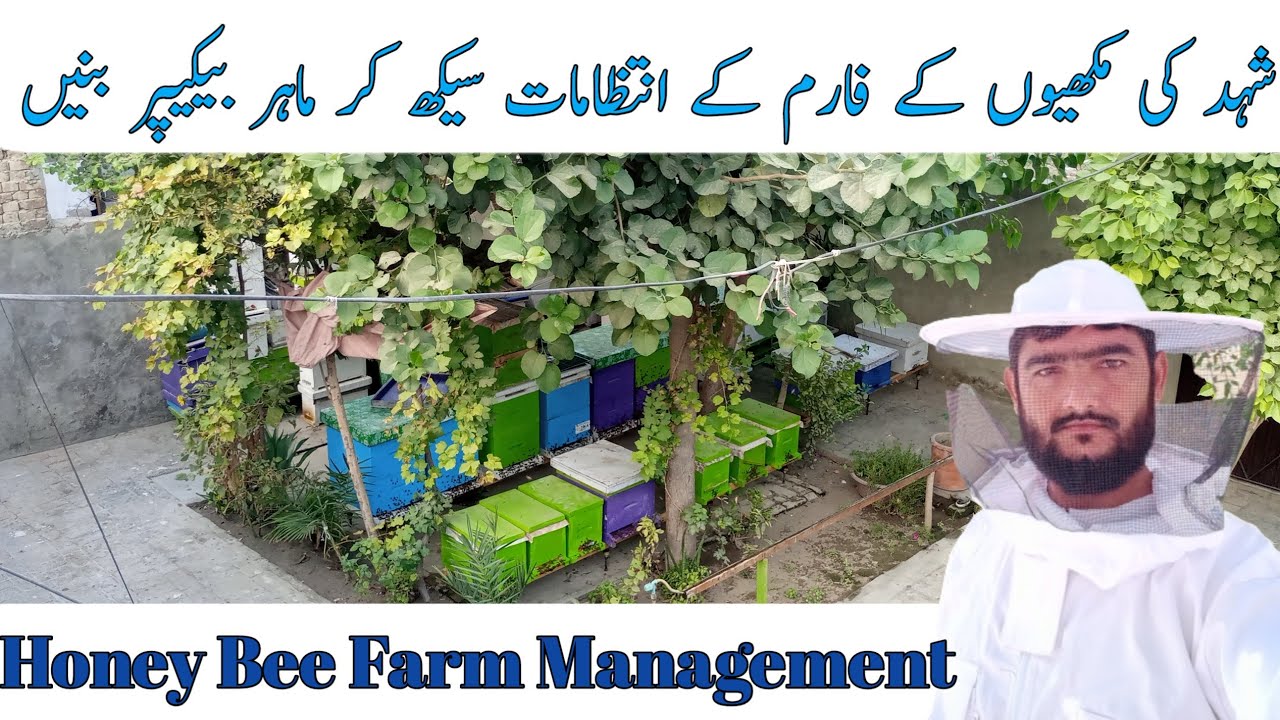 Honey bee Farm Management | Honey bees Farming | Apiculture