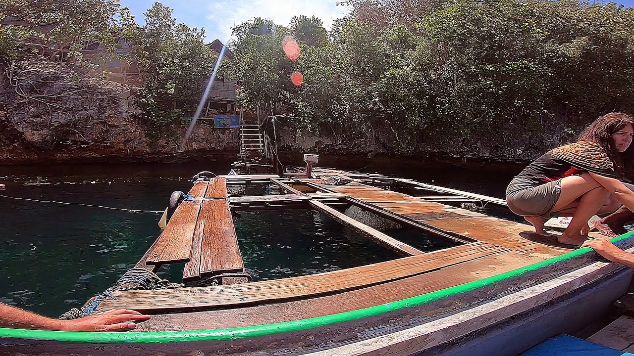 Snorkeling Spot: Friwen Wall  Febr 2020 #rajaampat #snorkeling #westpapua #friwenbonda