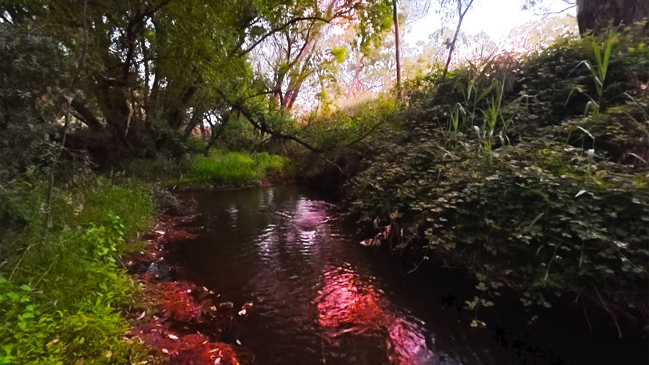 The MAGIC Of Skinny Water Murray Cod Fishing