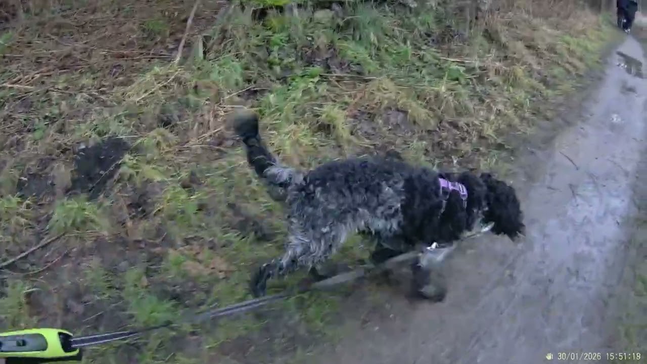 Walkies 30 1 26