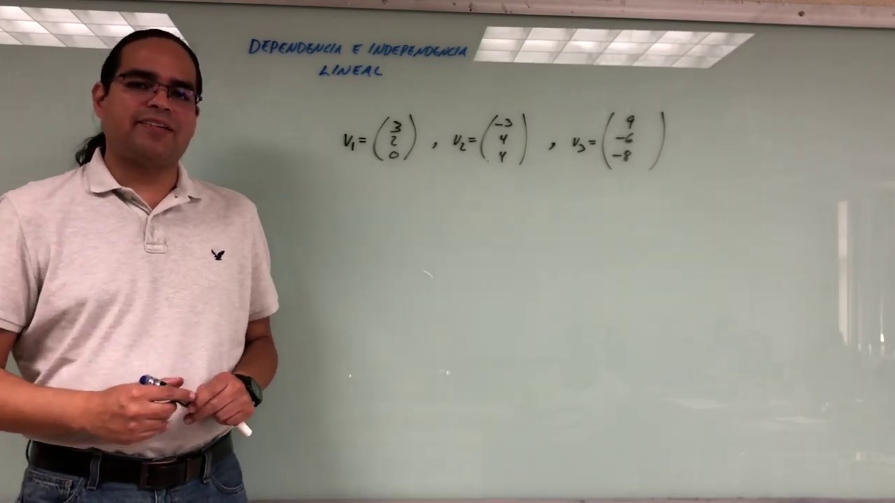 Dependencia e Independencia Lineal