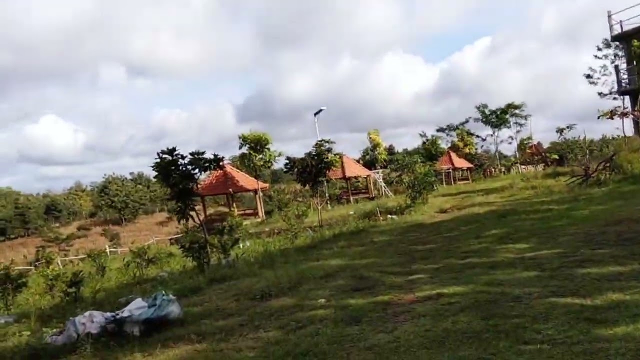Jln menuju tempat perkemahan / wisata nglaroh gunung jepon blora
