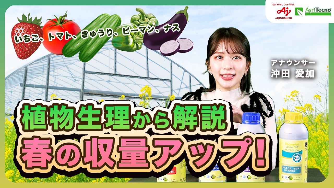 いちご、トマト、きゅうり、ピーマンの植物生理から考える、春のなり疲れと軟弱果対策　なり疲れのための光合成の最大化とその管理ポイントを詳細解説