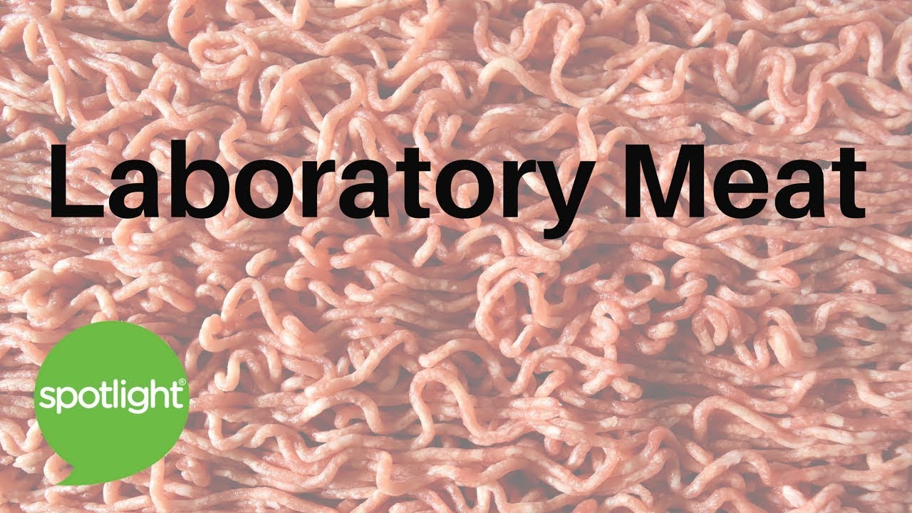 Laboratory Meat | practice English with Spotlight
