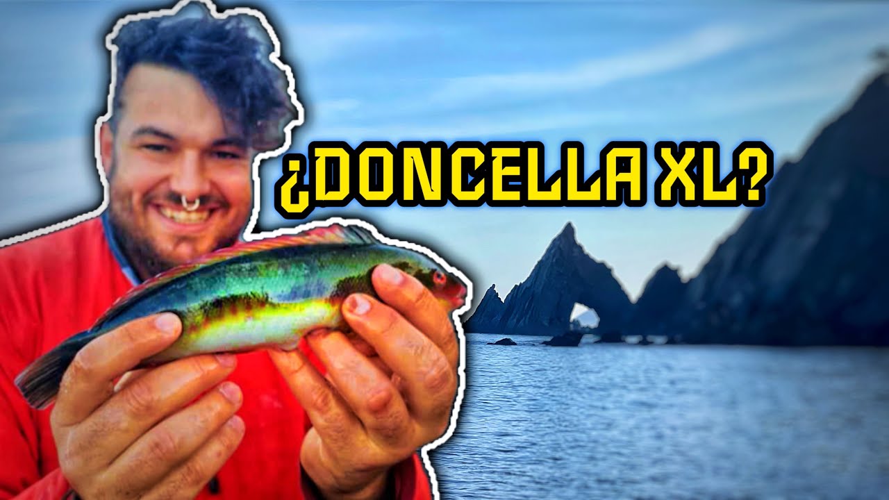¿Una DONCELLA XL del Cantábrico? 😲 PESCA en pedrero nuevo!