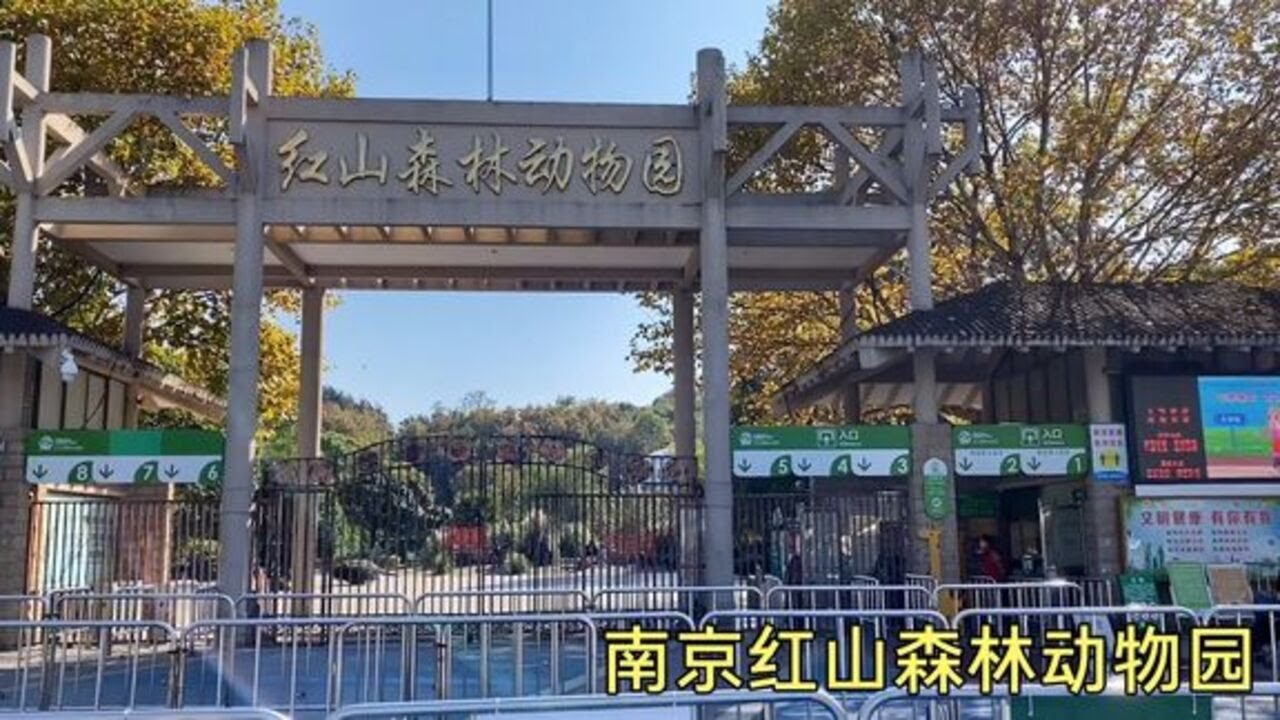 南京的红山森林动物园，票价40块钱，带大家全程参观一下
