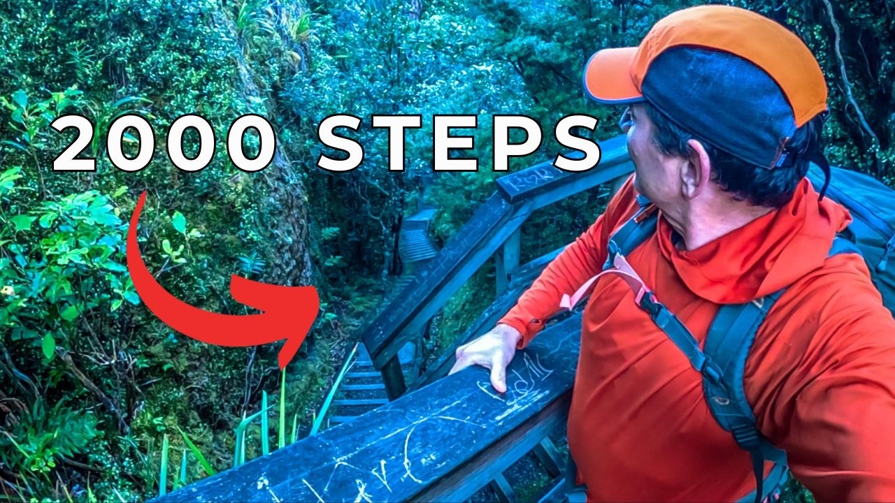 Solo Hike to Mt. Hobson - Aotea Track, Great Barrier Island NZ Adventure