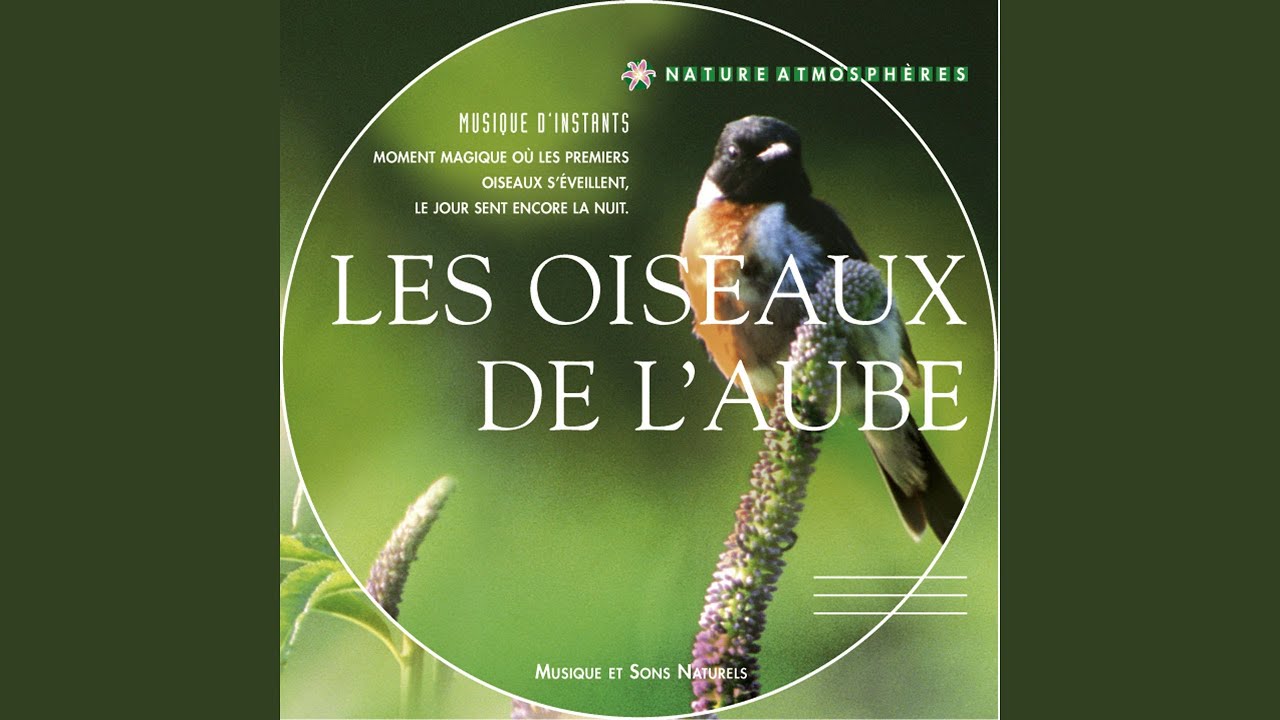 Au carnaval des oiseaux