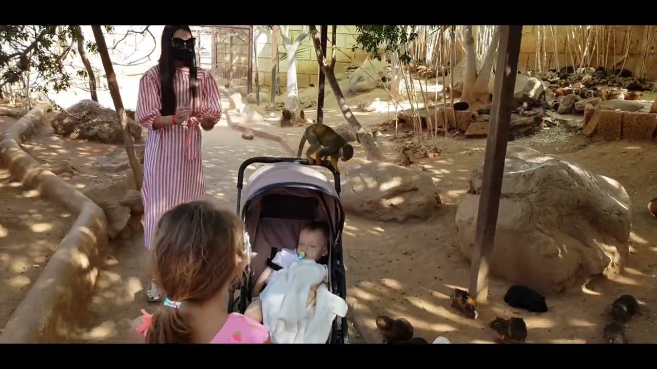 Monkey Park Tenerife 2022 4K