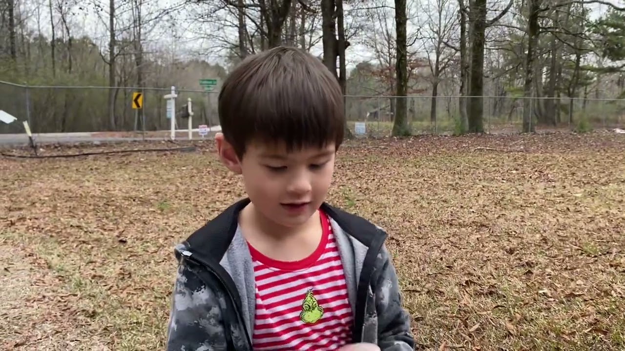 Mushroom Hunter, found big patch of mushrooms in the yard!