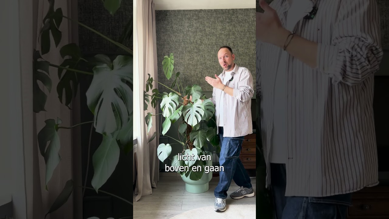 Intratuin - PlantEHBO - Planten draaien