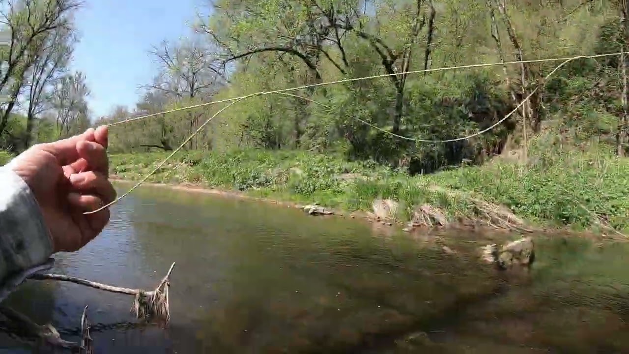 The Bears, Iowa Driftless May 2022