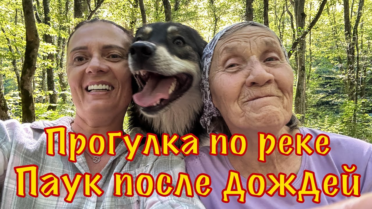 База Каньон. Прозрачная река. Собаки. Осень.