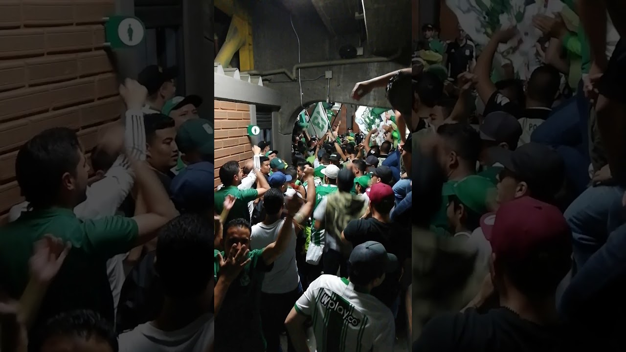 Previa Los Del Sur