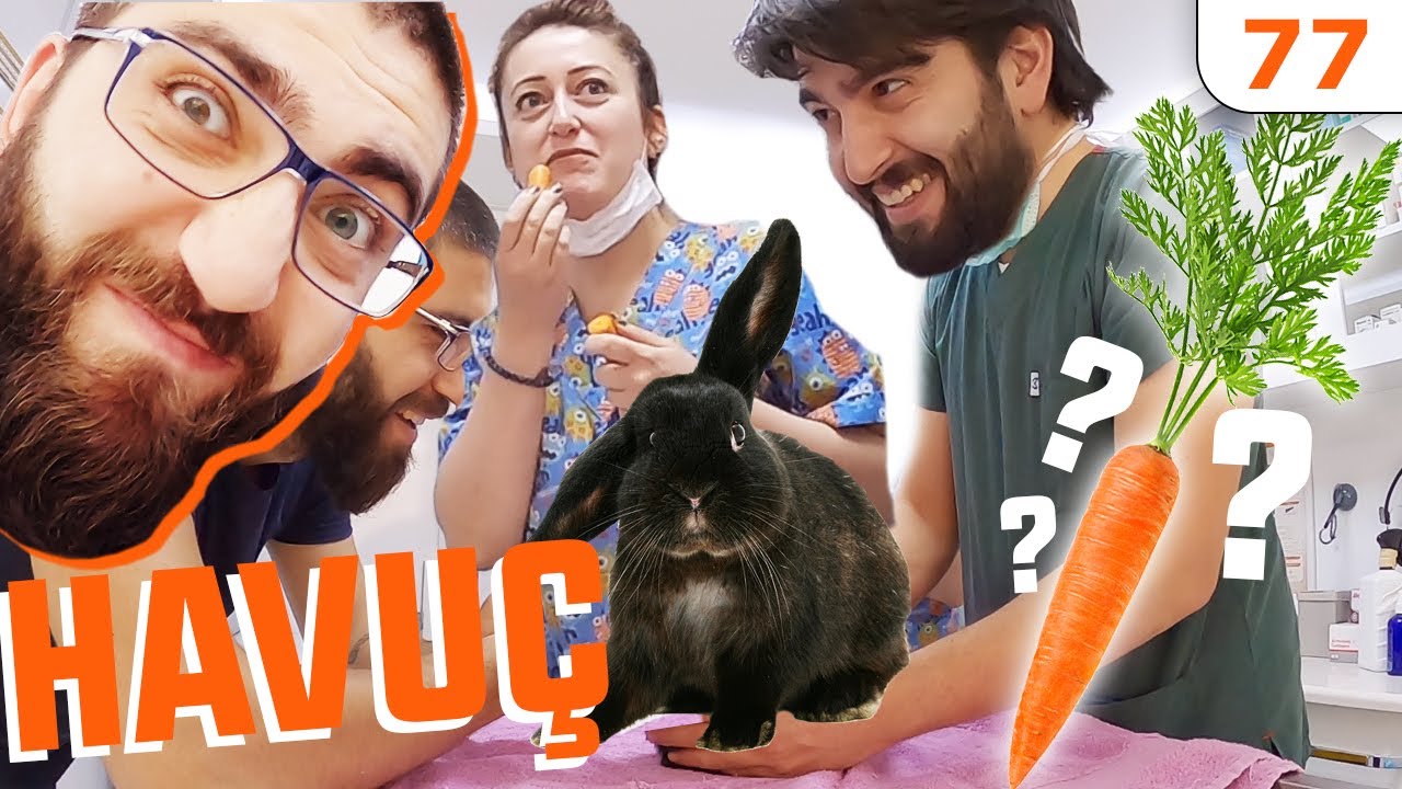 EFSANEYİ DENEDİK 😆 Tavşanlar Havuç Sever mi? Bugs Bunny Çizgi Filmlerin Efsanesi 😍 #DoBiDa 77
