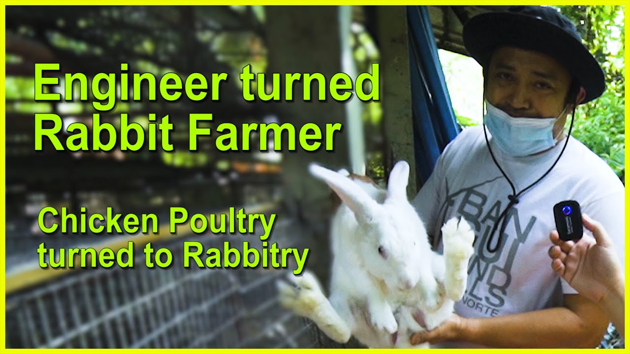 Manukan na Ginawang Rabbit Farm