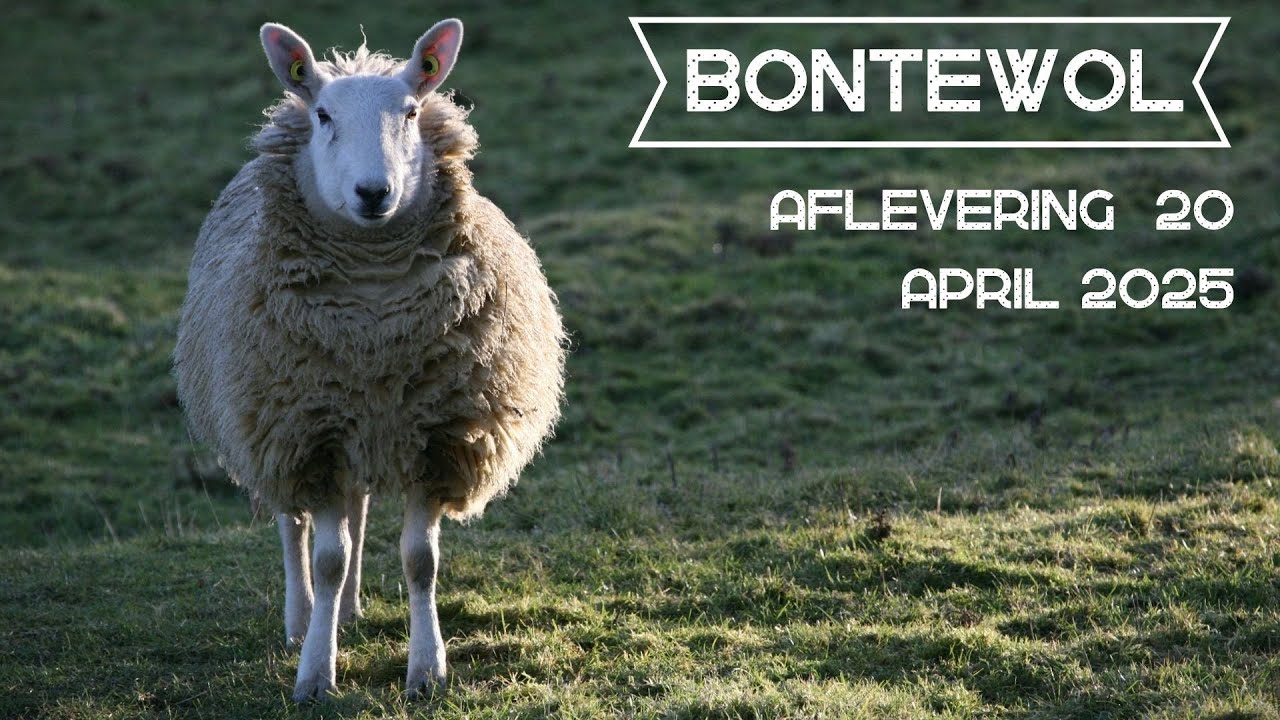 Bontewol afl. 20, april 2025
