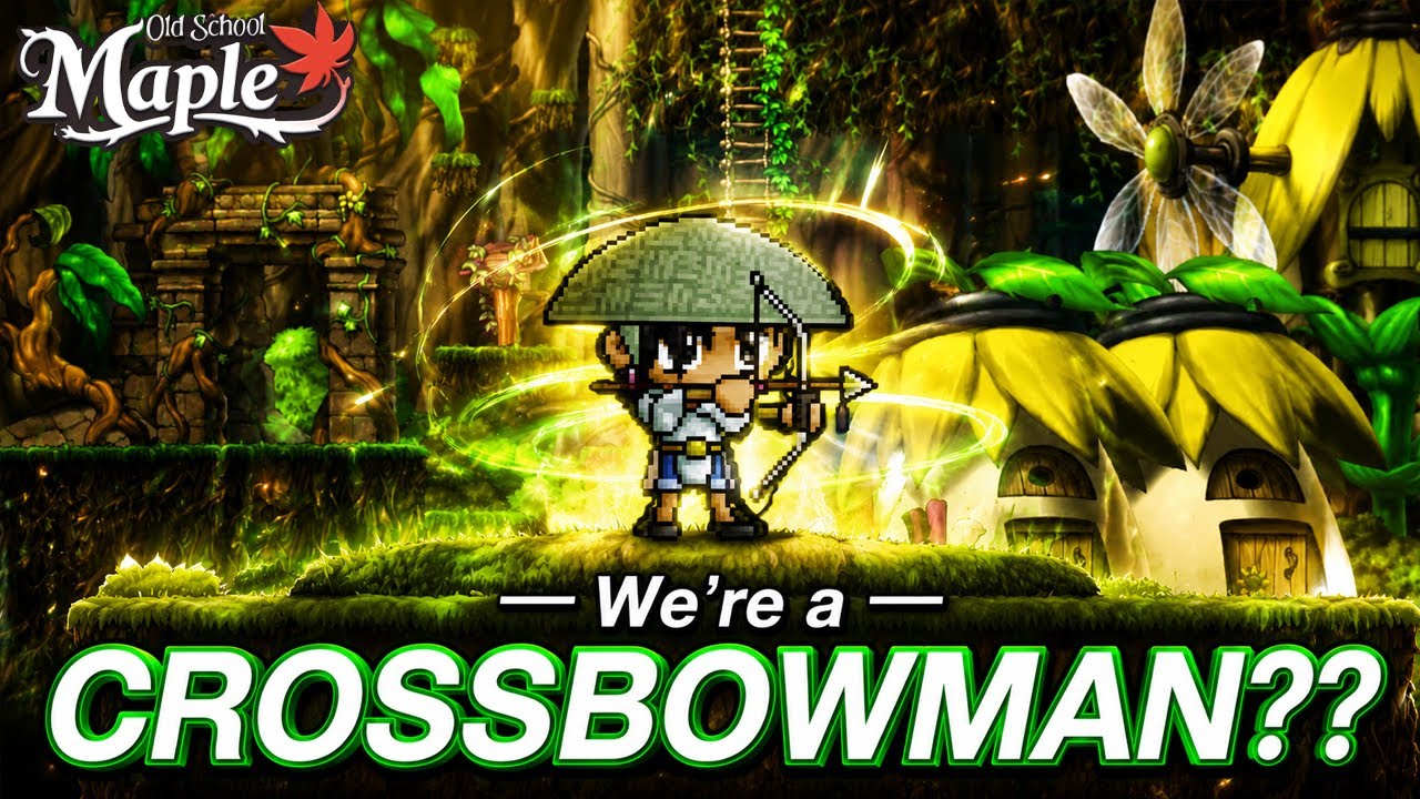 30 уровней чистого хаоса в старой школе MapleStory (я выбрал не тот класс)