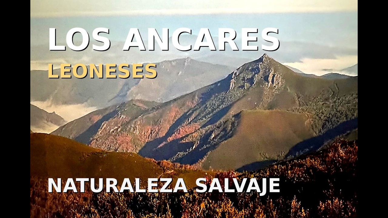 VISITAR LOS ANCARES   Un mundo diferente