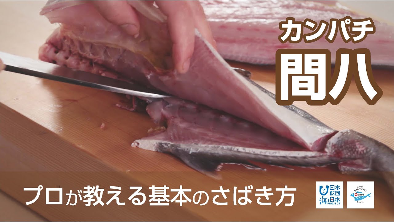 間八（かんぱち）のさばき方 - How to filet Greater Amberjack -｜日本さばけるプロジェクト（海と日本プロジェクト）