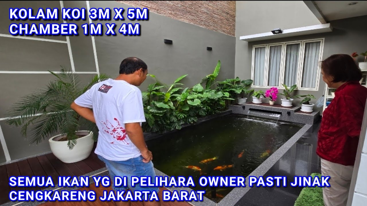 SIMPEL PRAKTIS SEDERHANA TAPI CANTIK !| KOLAM KOI 3M X 5M CHAMBER 1M X 4M CENGKARENG JAKARTA BARAT