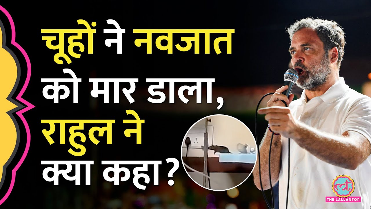'हादसा नहीं हत्या' Indore के MY Hospital में चूहों ने कुतरा, बच्चों की मौत, क्या बोले Rahul Gandhi?