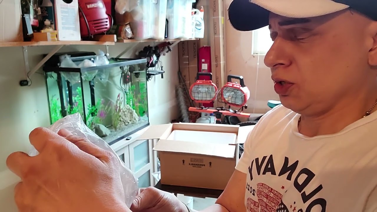 Imperial Tropical unboxing (all Male Hap Cichlid package)