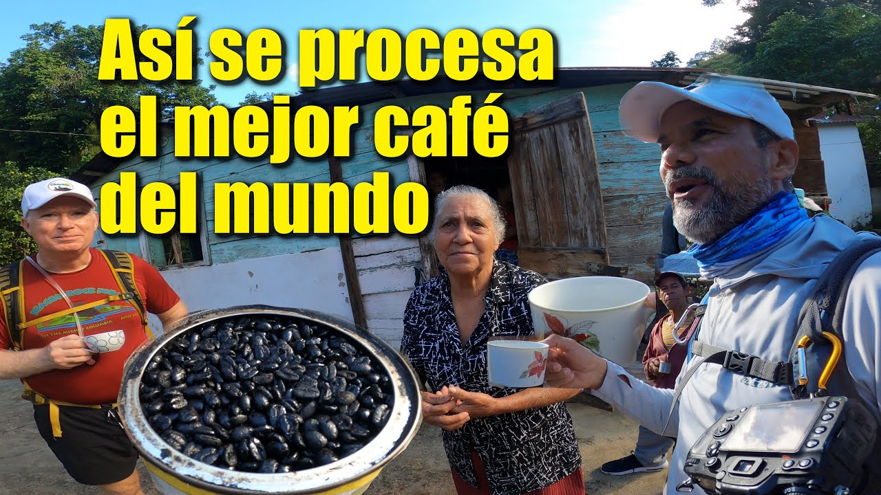 Café recién tostado y molido con una familia maravillosa!! 4K