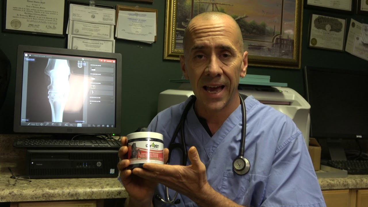 Cur OST EQ Inflammend Formula for Horses