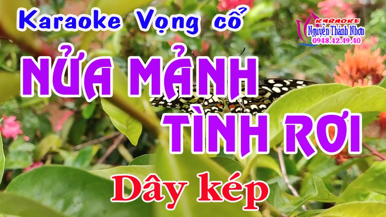Karaoke vọng cổ NỬA MẢNH TÌNH RƠI - DÂY KÉP [ Beat hay ]