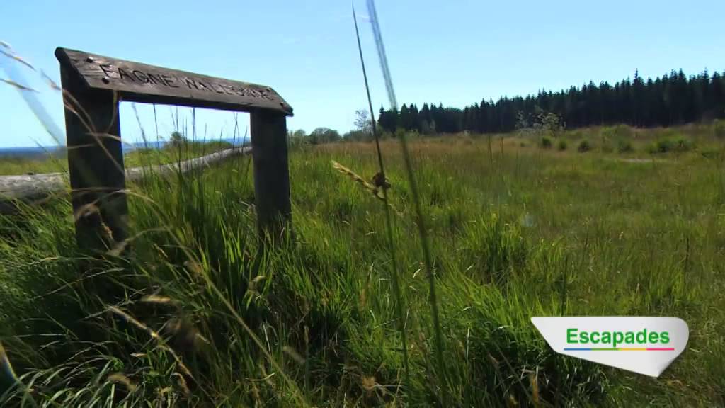 Escapades en Wallonie dans les Hautes Fagnes : Les bons plans de Fanny