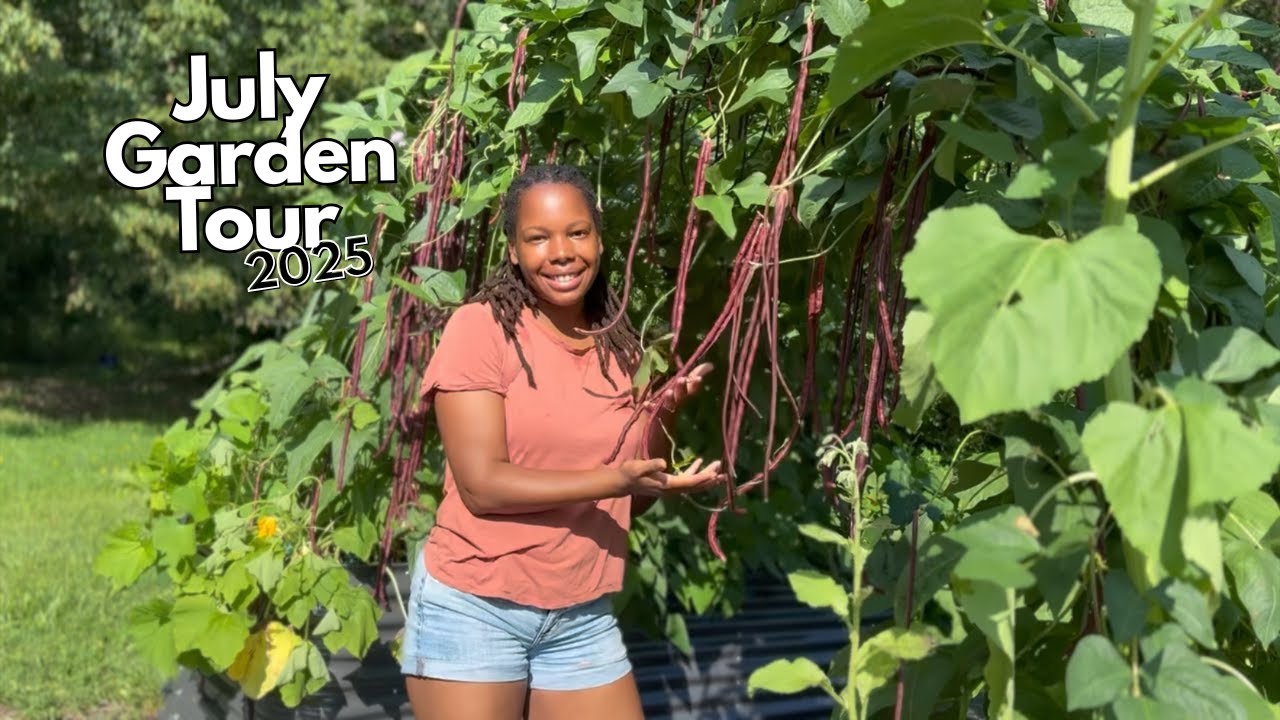 70+ Plant Varieties in My Zone 7b Garden! | July Raised Bed Garden Tour (Maryland)