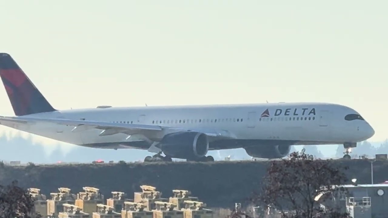 SeaTac Closeups 1/24/2026