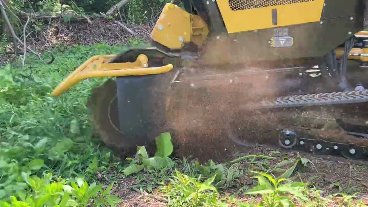WHY STUMP GRINDING? CAN WE MAKE MONEY?