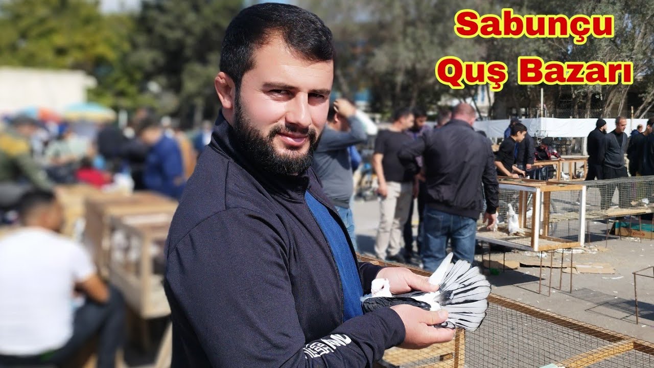 Sabunçu Quş Bazarı 15 Oktyabr 2023 @xəzərbagirov7