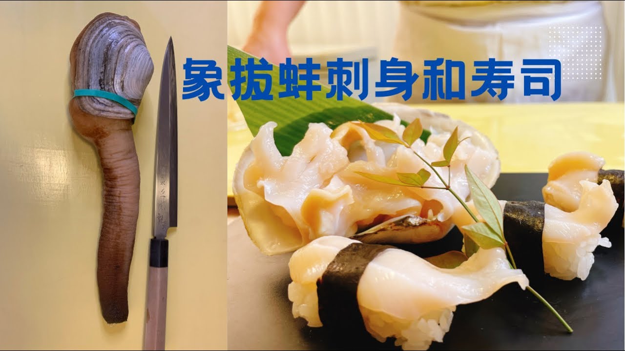象拔蚌(Mirugai)做刺身或寿司的处理方法！有些误解需要大家注意一下！#寿司#刺身#象拔蚌刺身#geoduck