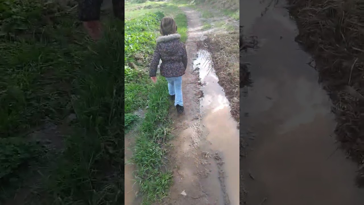 أجيو نكمل اعلي فيديو أنتمنعو بهد الخير ت دربي