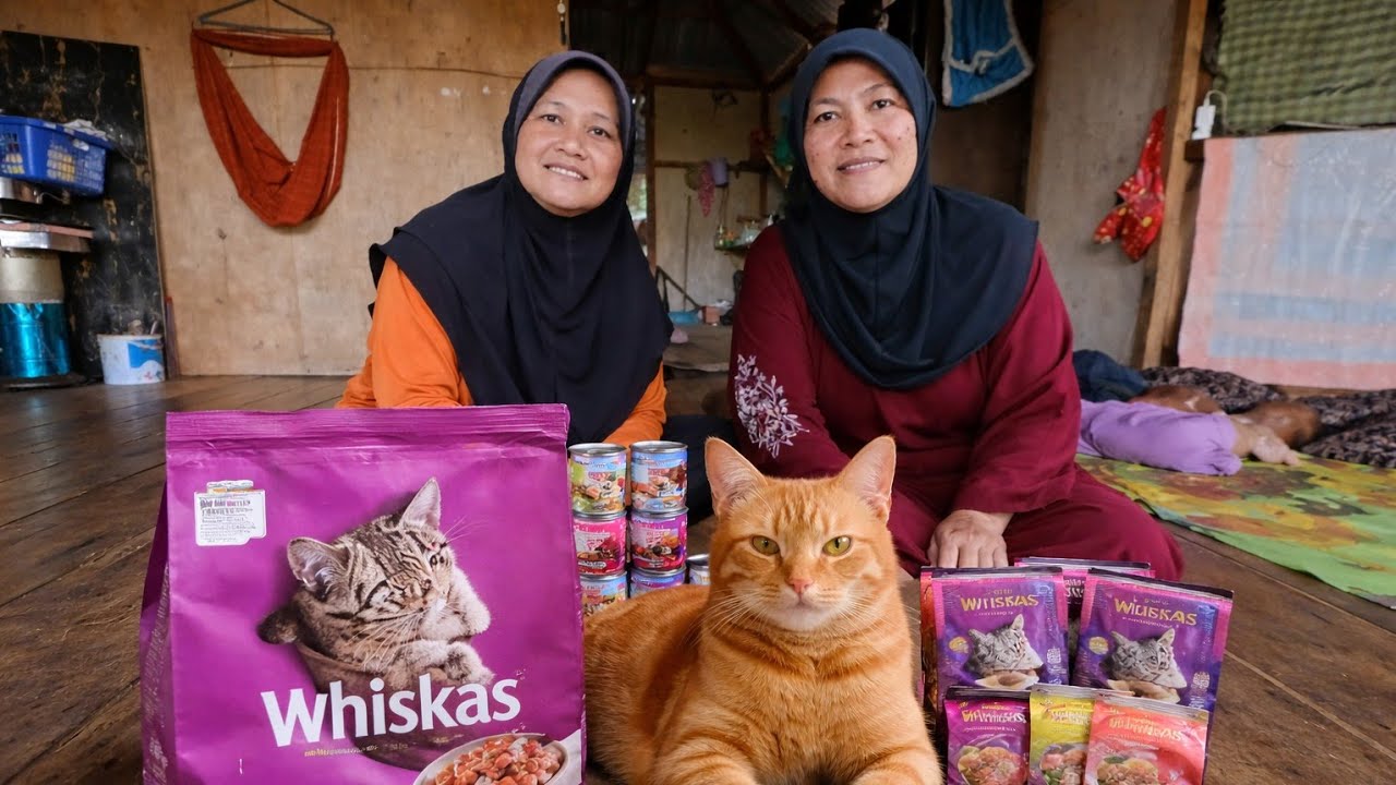 Kak Jirah dan Kak Maya Dapat Rezeki.. Keperluan Makan Untuk Kucing Tersayang 