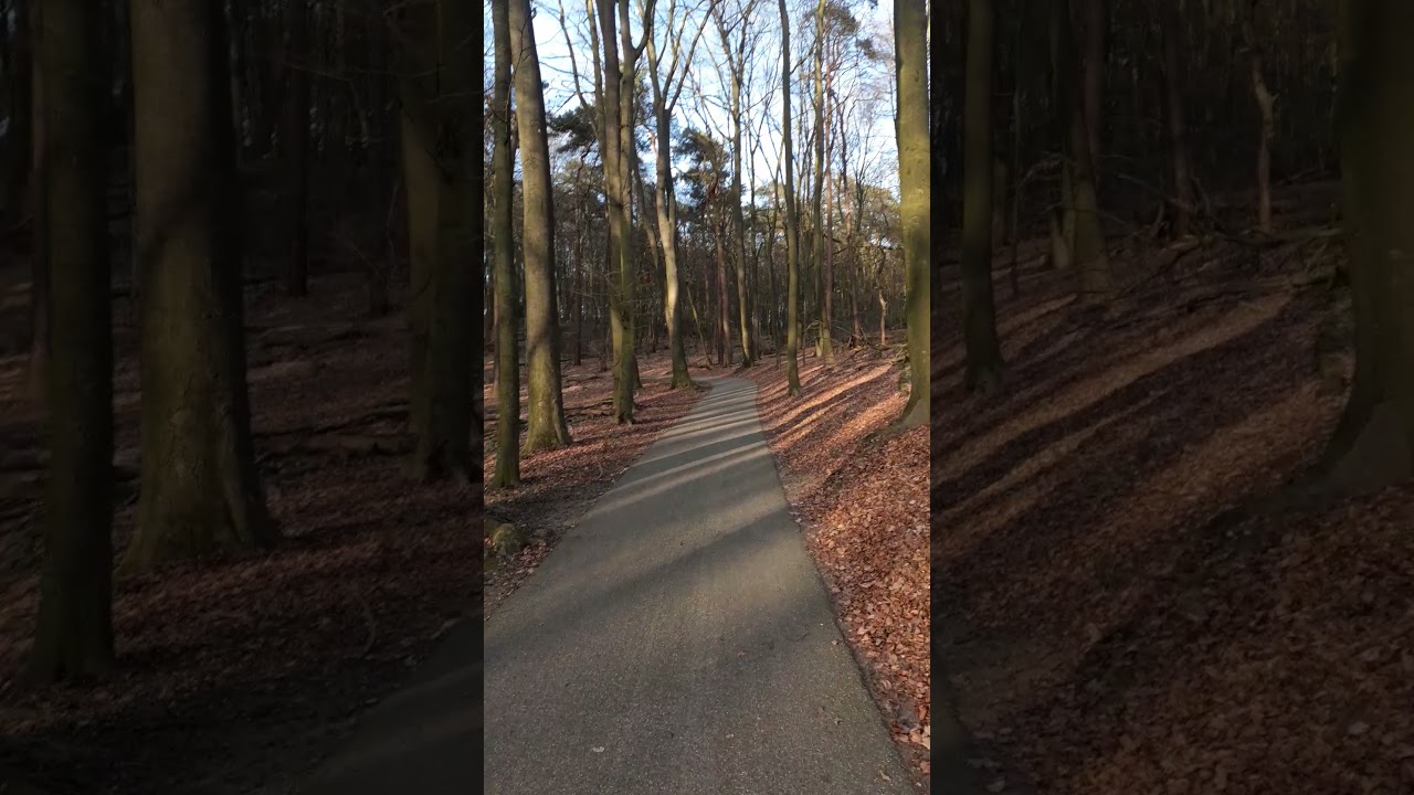 Vraag naar rustige omgeving om vogels te horen fluiten ,liefs geen verkeers geluid.