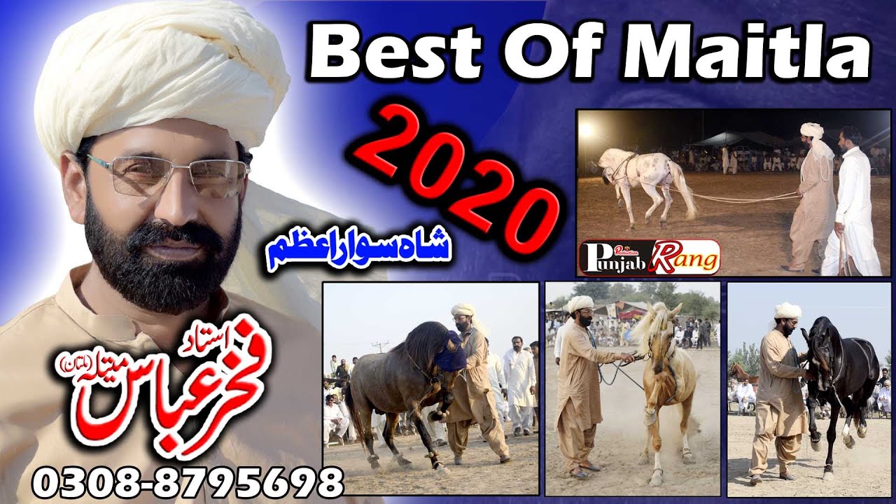 Best Of Maitla 2020 l Amazang Horse Dance l  Ustad Fakhar Abbass Meatla Unique Swar